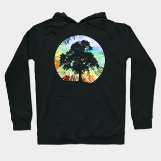 Old Growth Big Tree Hoodie